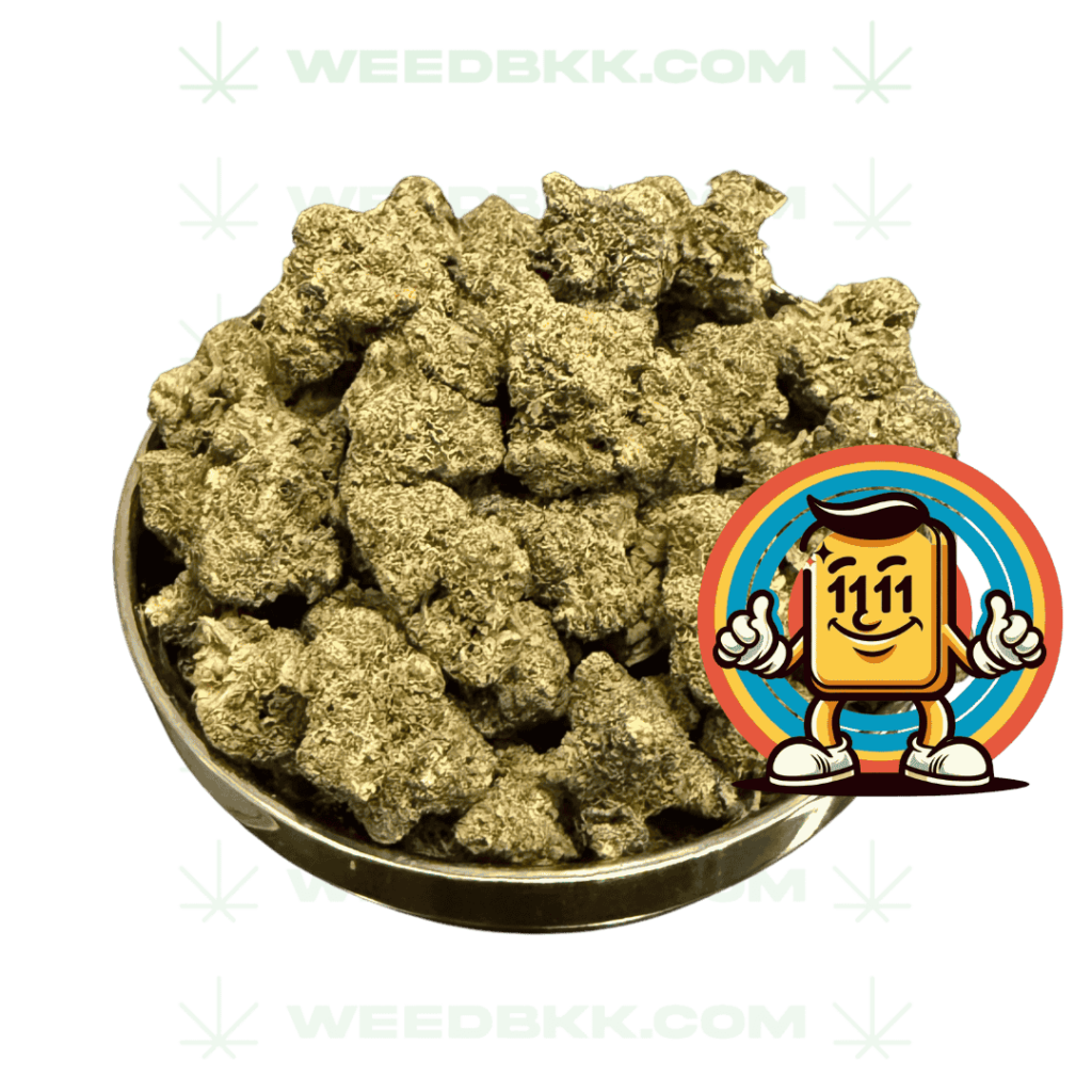 Weedbkk.com weed bangkok (11)