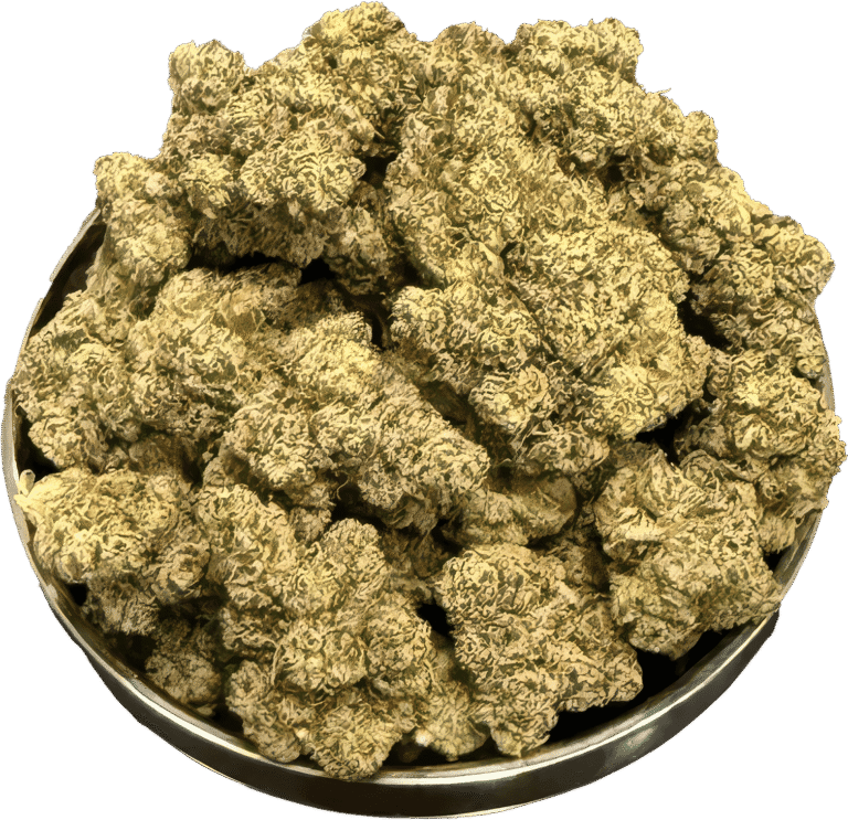 Apples n bananas 2 (1)