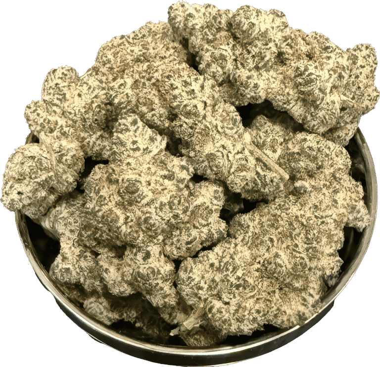 Oreoz 2 (1)