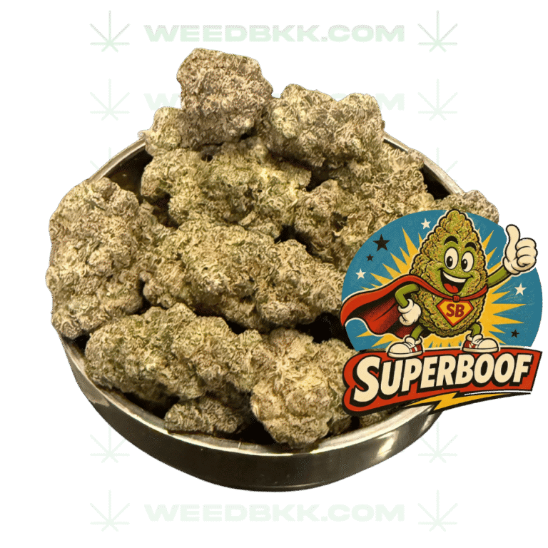 Weedbkk.com weed bangkok DELIVERY71