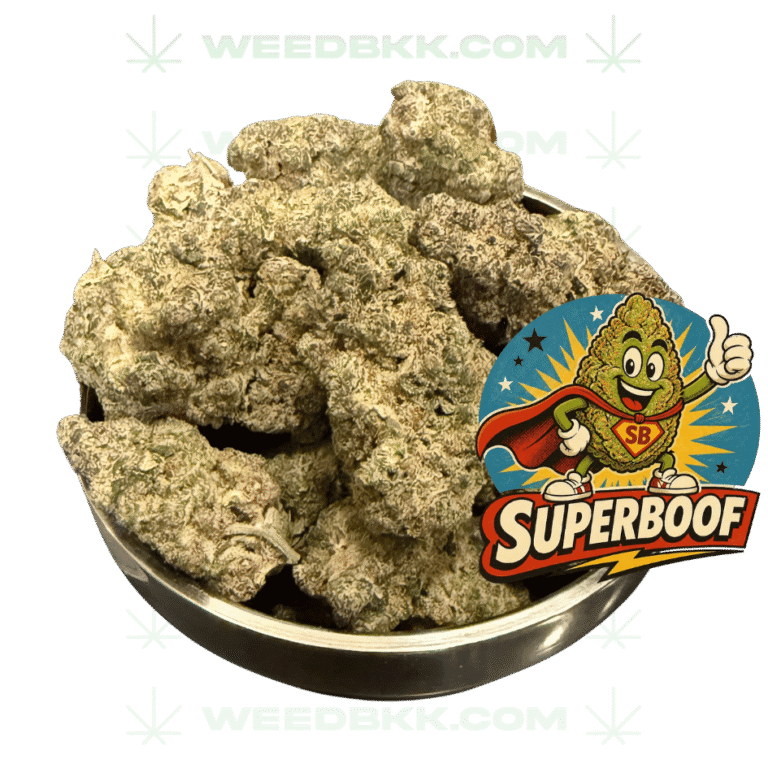 Weedbkk.com weed bangkok DELIVERY73
