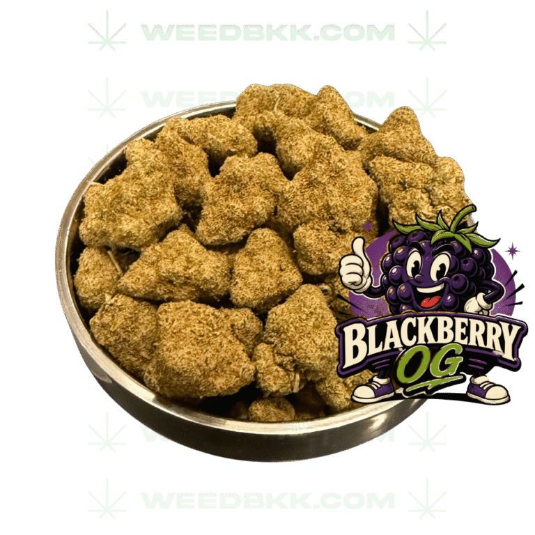 Weedbkk.com weed bangkok DELIVERY74