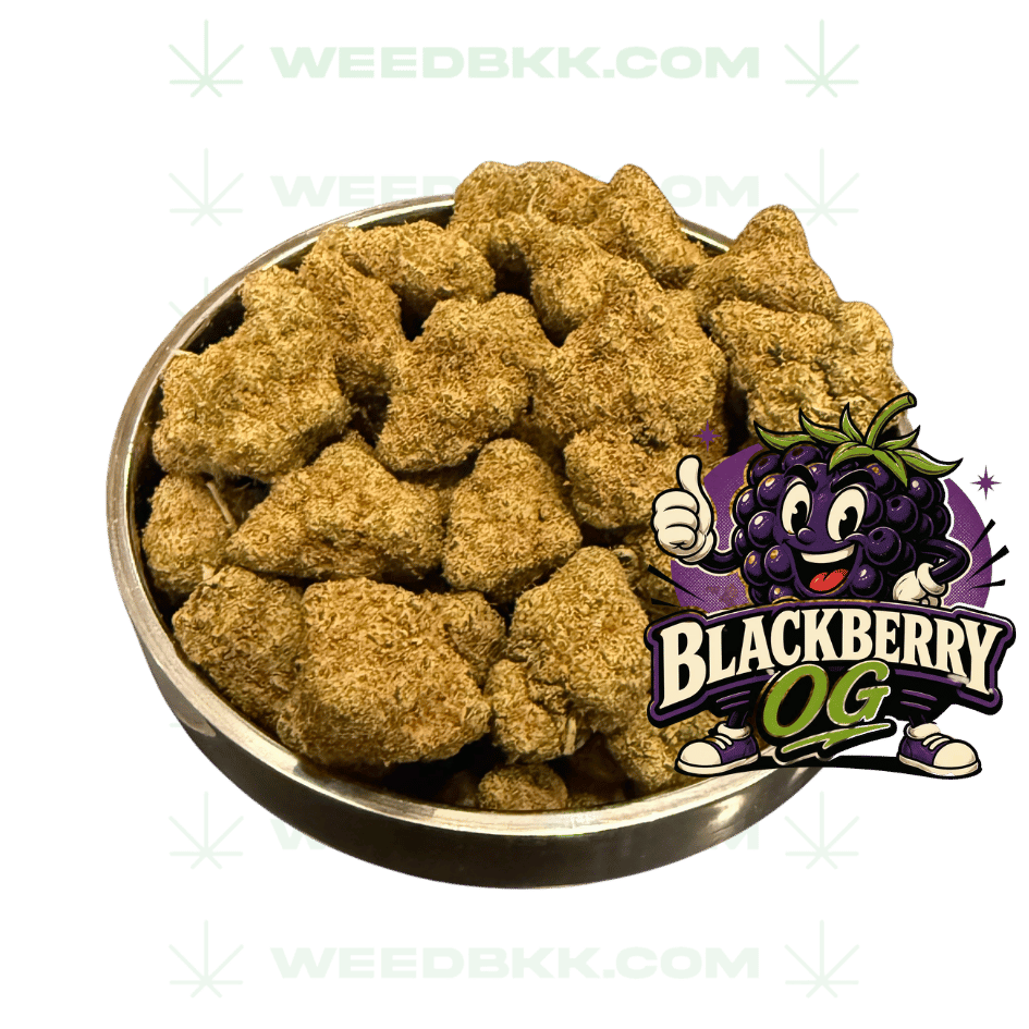 Weedbkk.com weed bangkok DELIVERY74