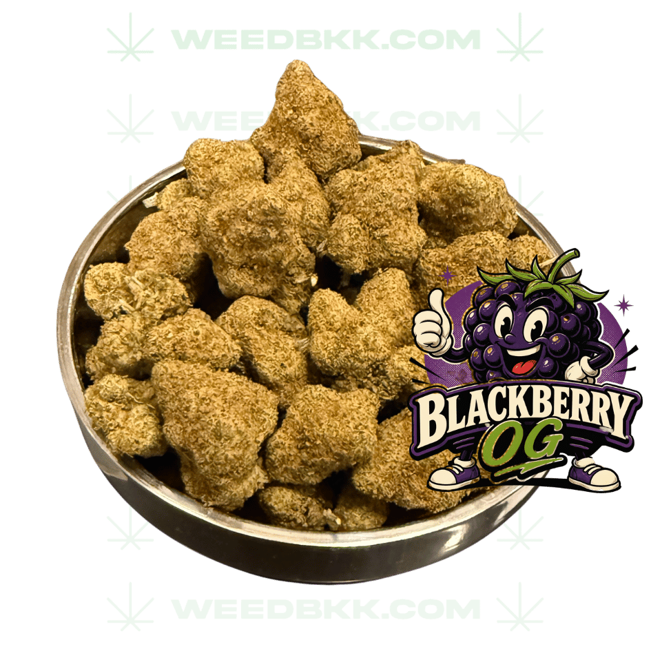 Weedbkk.com weed bangkok DELIVERY75