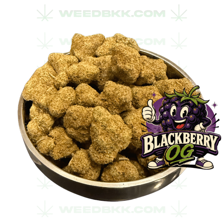 Weedbkk.com weed bangkok DELIVERY76