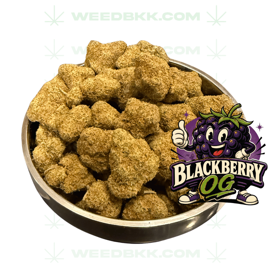 Weedbkk.com weed bangkok DELIVERY76