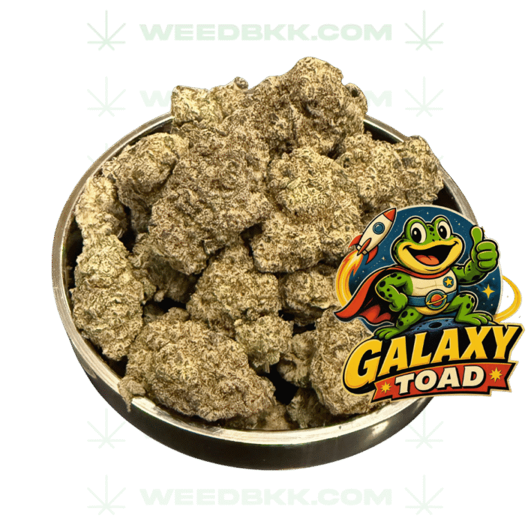 Weedbkk.com weed bangkok DELIVERY77