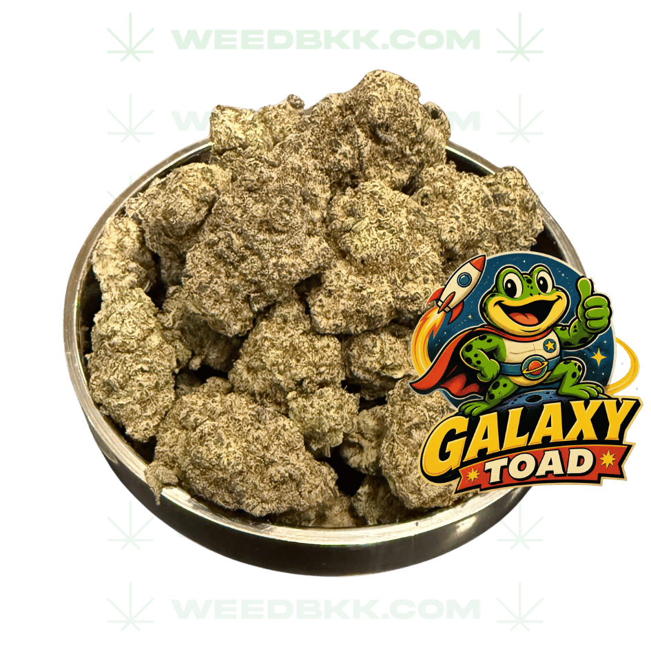 Weedbkk.com weed bangkok DELIVERY77