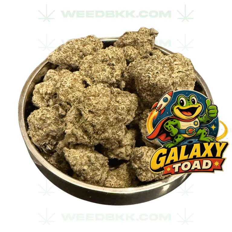 Weedbkk.com weed bangkok DELIVERY79