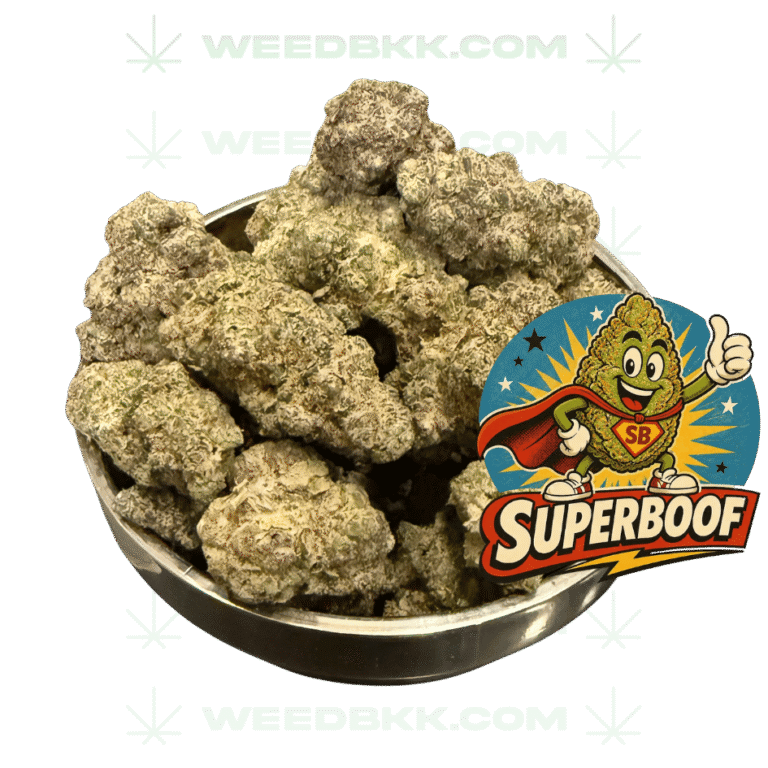Weedbkk.com weed bangkok DELIVERY7weedbkk.com weed bangkok DELIVERY