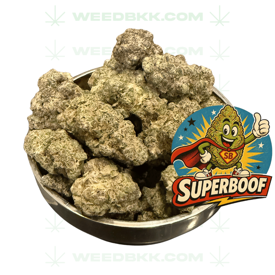Weedbkk.com weed bangkok DELIVERY7weedbkk.com weed bangkok DELIVERY