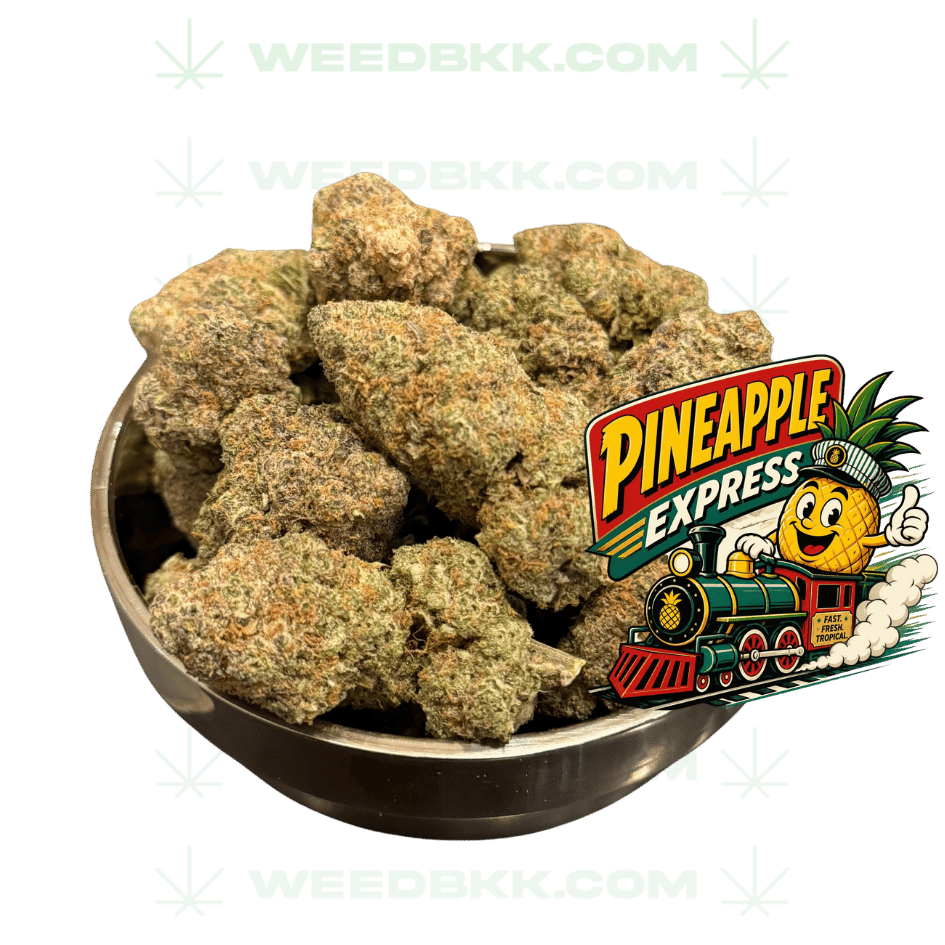 Weedbkk.com weed bangkok DELIVERY81
