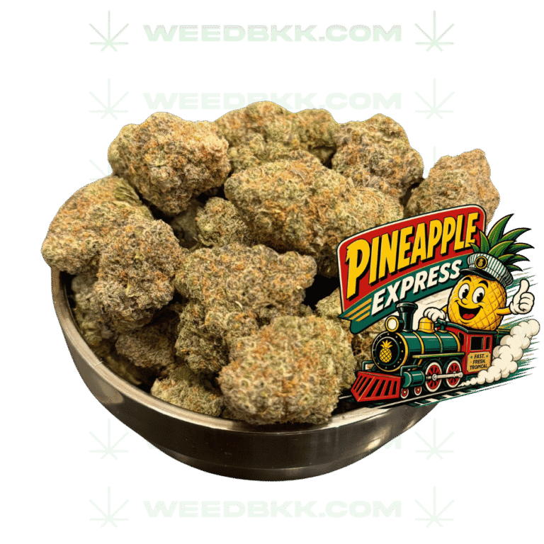 Weedbkk.com weed bangkok DELIVERY8weedbkk.com weed bangkok DELIVERY