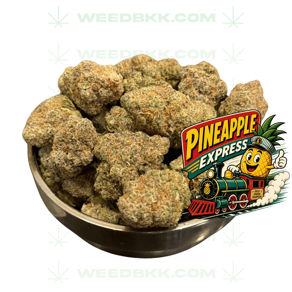 Weedbkk.com weed bangkok DELIVERY8weedbkk.com weed bangkok DELIVERY