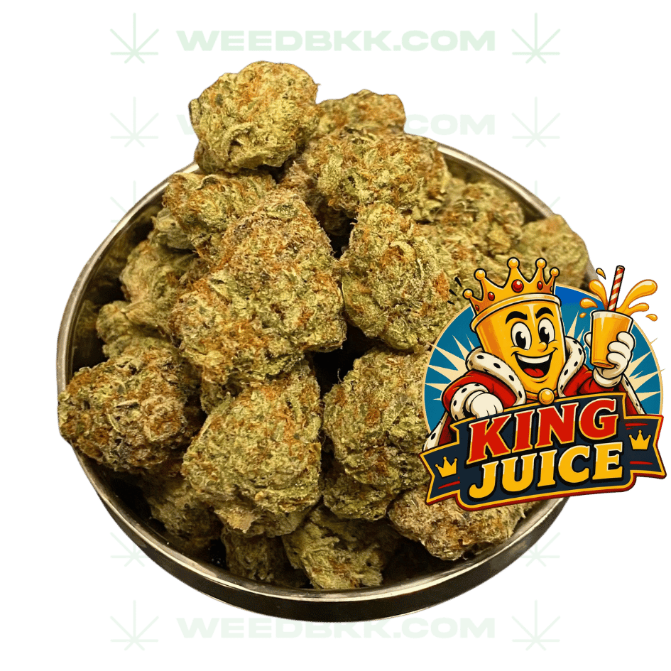 Weedbkk.com weed DELIVERY bangkok DELIVERY85