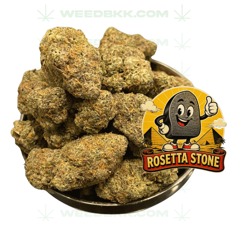 Weedbkk.com weed DELIVERY bangkok DELIVERY9weedbkk.com weed DELIVERY bangkok DELIVERY