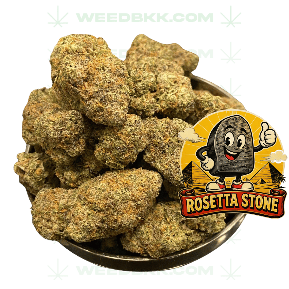 Weedbkk.com weed DELIVERY bangkok DELIVERY9weedbkk.com weed DELIVERY bangkok DELIVERY
